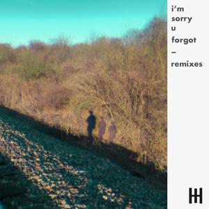 i'm sorry u forgot remixes (Explicit)