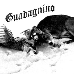 Guadagnino