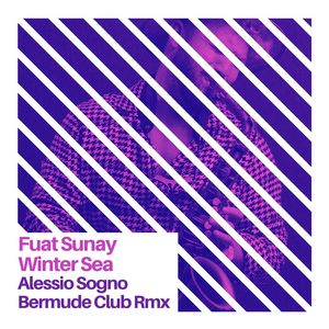 Winter Sea (Bermude club rmx)