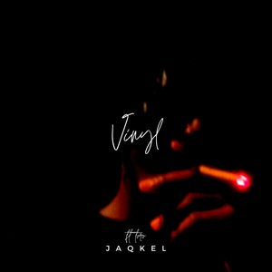 Vinyl(feat. TORO) (Explicit)