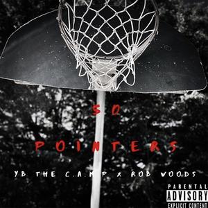 50 Pointers (feat. Rob Woods) [Explicit]