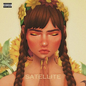 Satellite