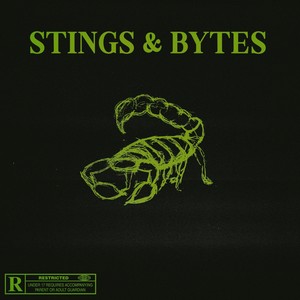 Stings & Bytes (Explicit)