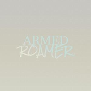 Armed Roamer