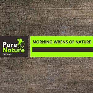Morning Wrens of Nature