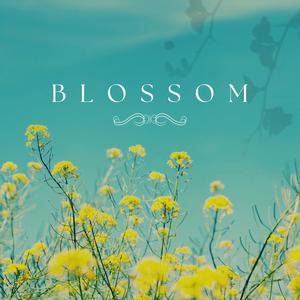 Blossom (Explicit)