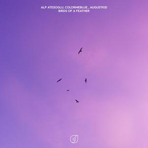 Birds Of A Feather (feat. AUGUSTKID)