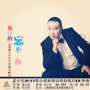 我真的忘不了你