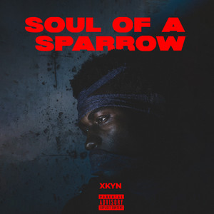 SOUL OF A SPARROW (Explicit)