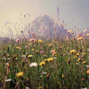 girl from the north country