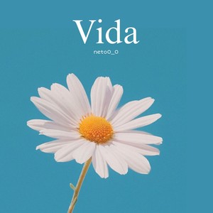 Vida