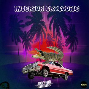 Interior Crocodile