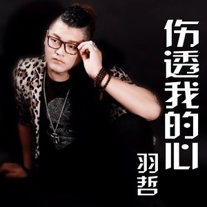 会哭的人不一定流泪