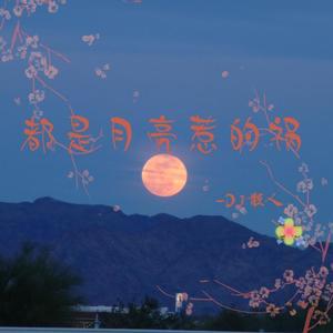 都是月亮惹的祸 (DJ散人版)
