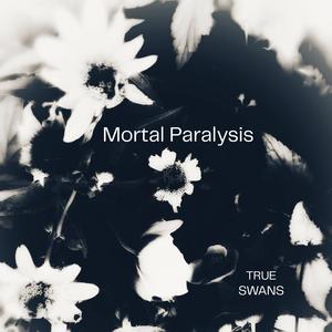 Crash Test Psychopath