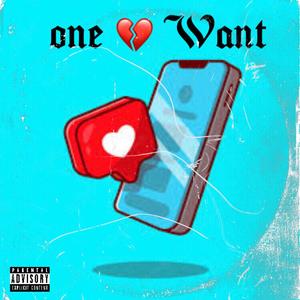 One You Want (Explicit)