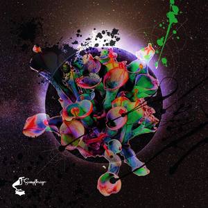 Benno Hoffmann & Traeger - Acid Cat