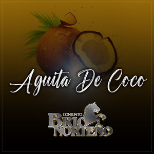 Aguita De Coco