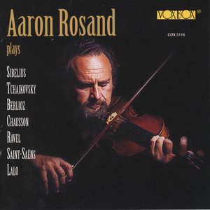 Violin Concerto No. 3 in B Minor, Op. 61 - Violin Concerto No. 3 in B Minor, Op. 61: III. Molto moderato e maestoso. Allegro non troppo