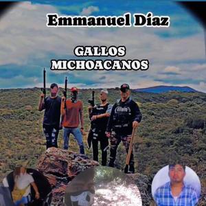 Gallos Michoacanos