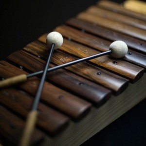 两棵树下 (马林巴琴版)