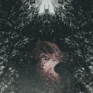 Discontent (Xenoduct)