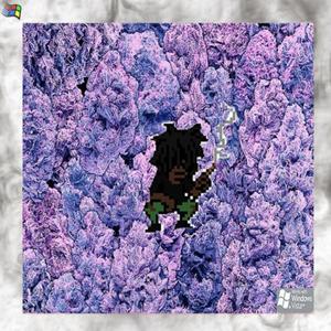 zlord - 1800-WHOLE-LOTTA-GANGSHIT