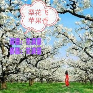 梨花飞苹果香