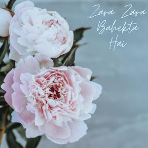 Zara Zara (feat. Ron-E) (Explicit)
