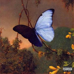 BUTTERFLY (Explicit)