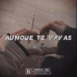 Aunque Te Vayas (Explicit)