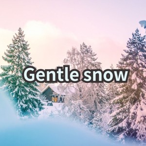 Gentle snow