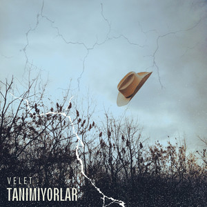 Tanımıyorlar