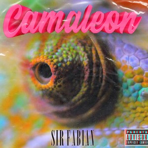 CAMALEON (Explicit)