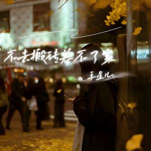 不去搬砖养不了家