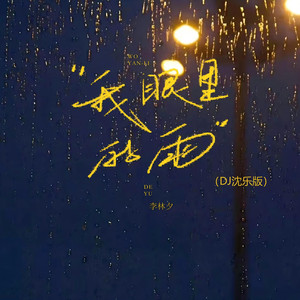 我眼里的雨 (DJ沈乐版)