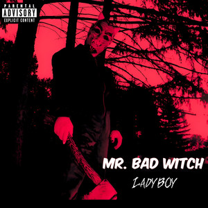 Mr. Bad Witch (Explicit)