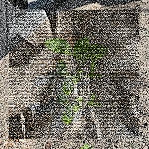 Love & Pain (feat. Omar Duro) (Explicit)