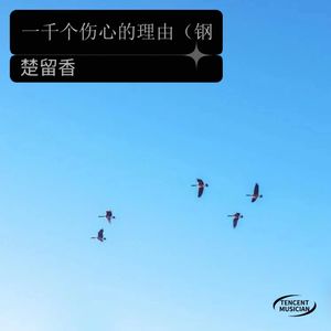 一千个伤心的理由 (翻奏: 张学友)