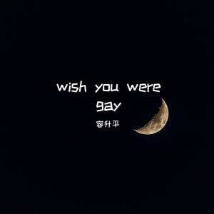 wish you were gay (弹唱)