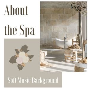 About the Spa: Soft Music Background for Massage, Ayurvedic Treatments and Relax