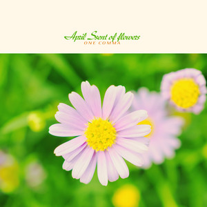 4월의 꽃향기 (April Scent Of Flowers)