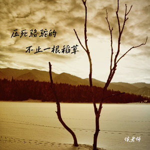 压死骆驼的不止一根稻草