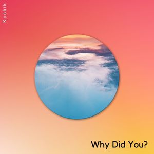 Why Did You? (Original Mix)