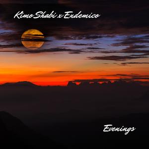 Evenings (feat. Endemico)