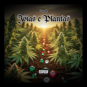 Jóias e Plantas (Explicit)