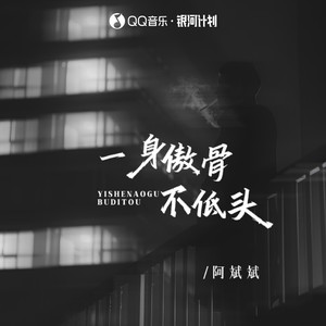 一身傲骨不低头DJ(Remix)