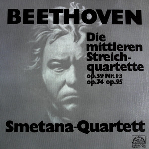 Streichquartett E-moll Op. 59 Nr. 2: 1. Allegro (黑胶版)