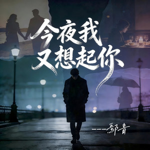 今夜我又想起你