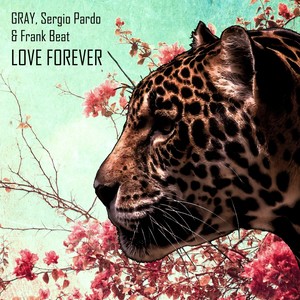 Love Forever (Kevin Karlson, Vicent Ballester Remix)